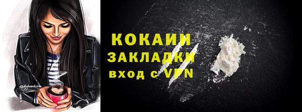 твердый Богданович