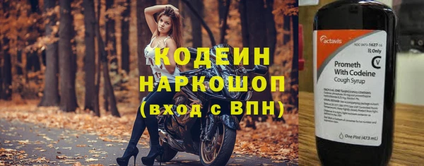 твердый Тайга