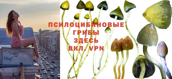 герыч Бородино