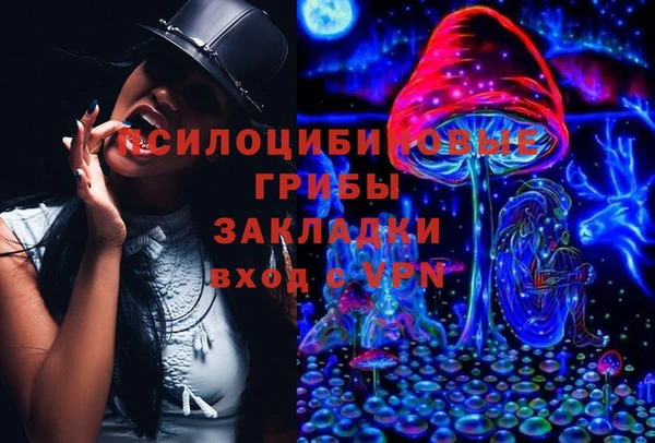 герыч Бородино